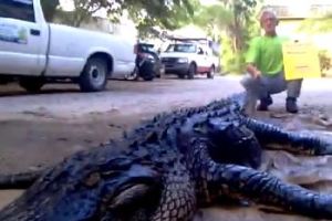 Alligator Joe Maffo with a Dead Gator